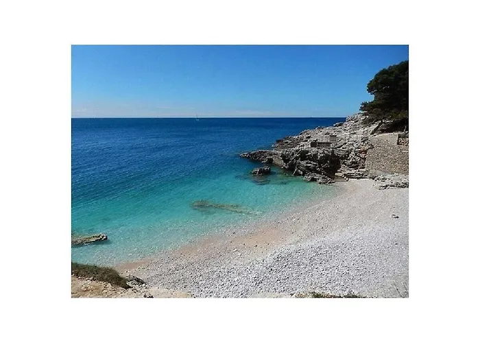 In With Swimming Pool 메덜린